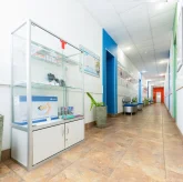 Медицинский центр массажа и остеопатии Неболи на Московском проспекте фото 4